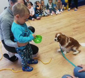 34-przedszkole-glogow-malopolski